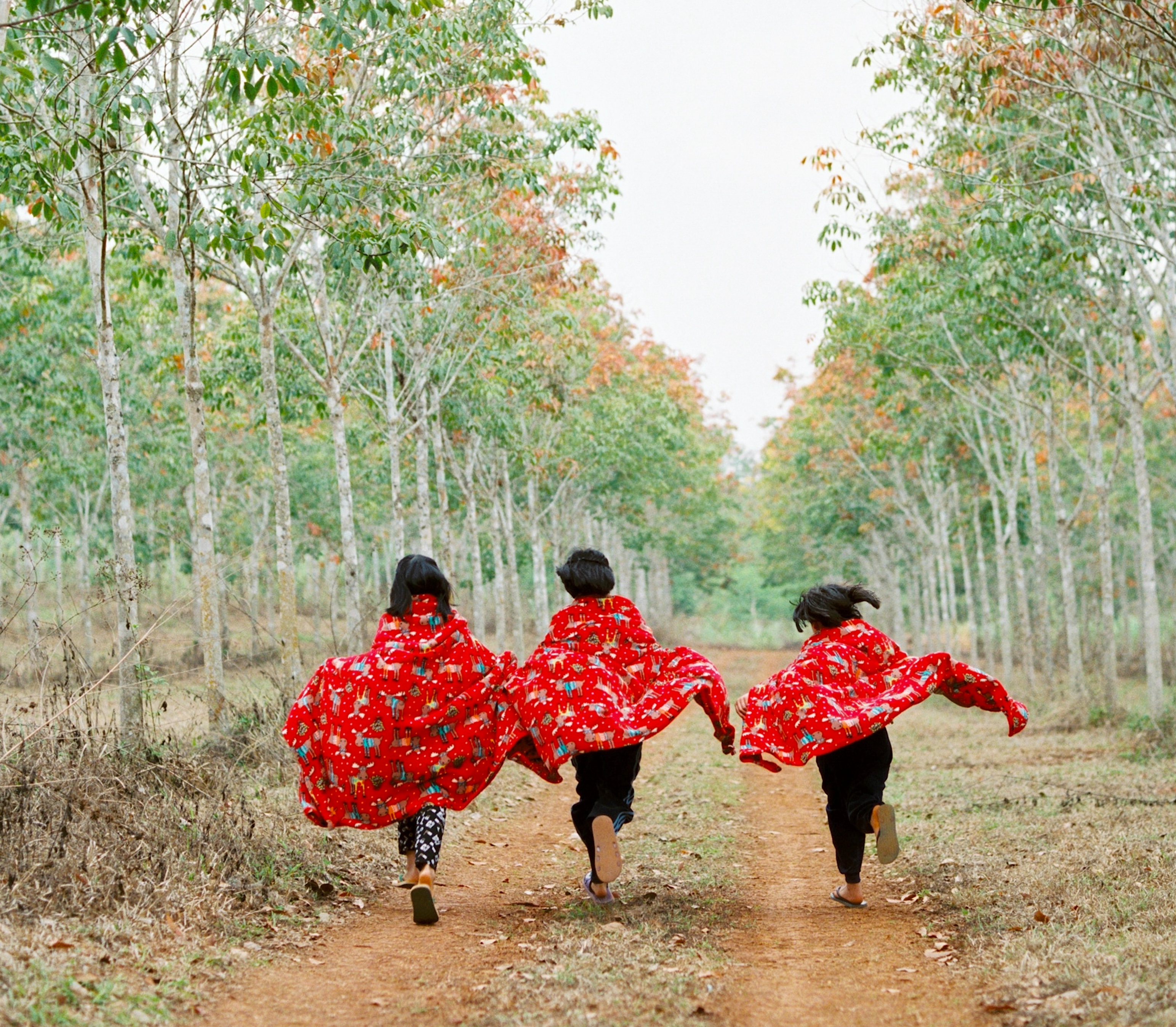 Children running along a tree-lined path