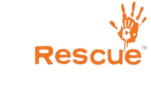 Charity partner logo